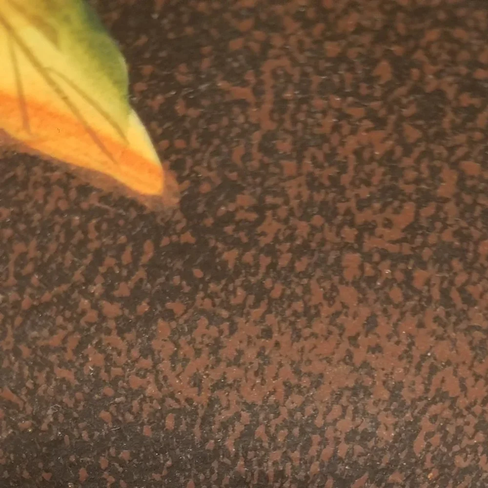 Hand Painted Acorn & Fall Leaves Wooden Bowl - Picture 4 of 7